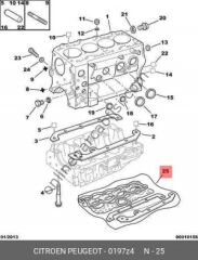 PSA 0197.Z4 | TAKIM CONTA