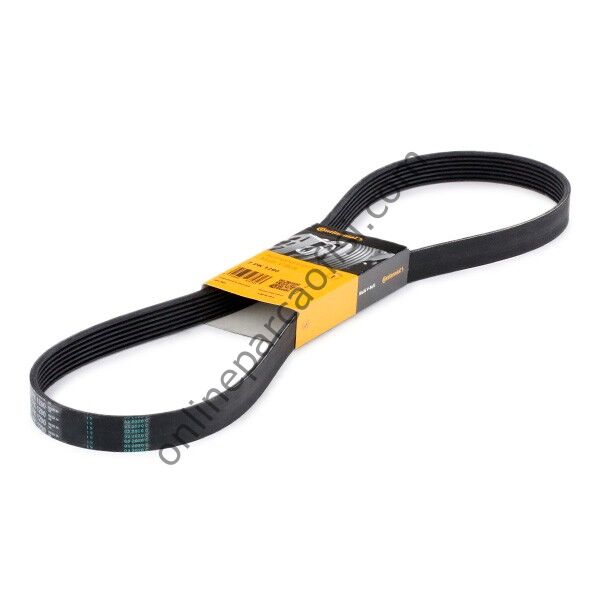 CONTITECH C 7PK1290 | FORD GALAXY V KAYISI