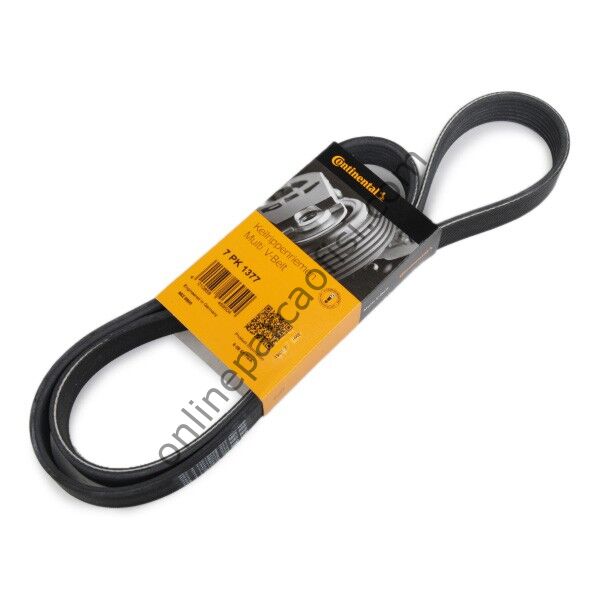 CONTITECH C 7PK1377 | RENAULT TWINGO III V KAYISI