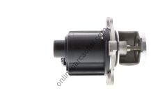 AISIN EGRAZ-7044 | VW A4-A5-A6-Q5-A7-TOUAREG EGR VALFI