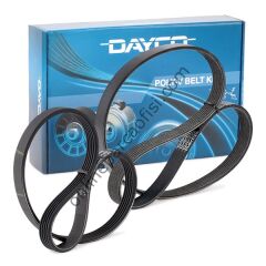 DAYCO PVE003 | FORD FIESTA/FUSION V KAYIS SETI