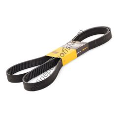 CONTITECH C 8PK 2092 | BMW LAND ROVER - RANGE SPORT V KAYISI