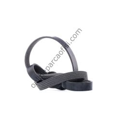 DAYCO 5PK1095S | FORD MONDEO/VOLVO V KAYISI