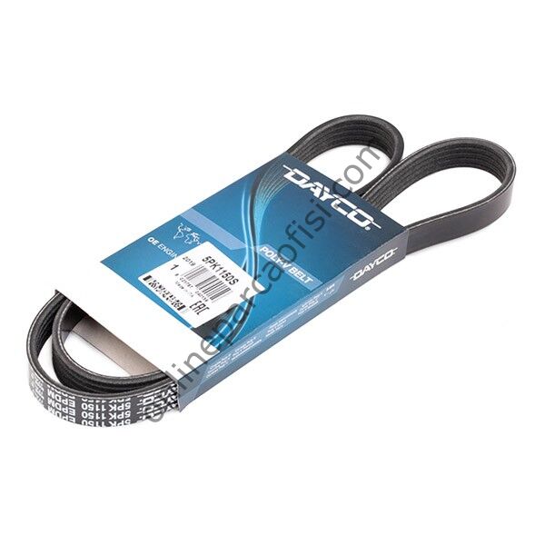 DAYCO 5PK1150 | FIAT LINEA V KAYISI