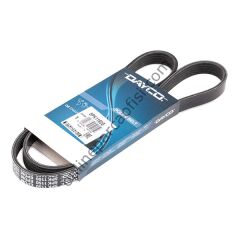 DAYCO 5PK1150 | FIAT LINEA V KAYISI