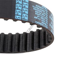 DAYCO 94939 | JAPON CARISMA TRIGER KAYISI