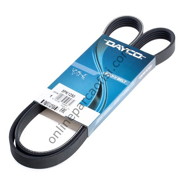 GATES 5PK1250 | JAPON AVENSIS (T25) V KAYISI