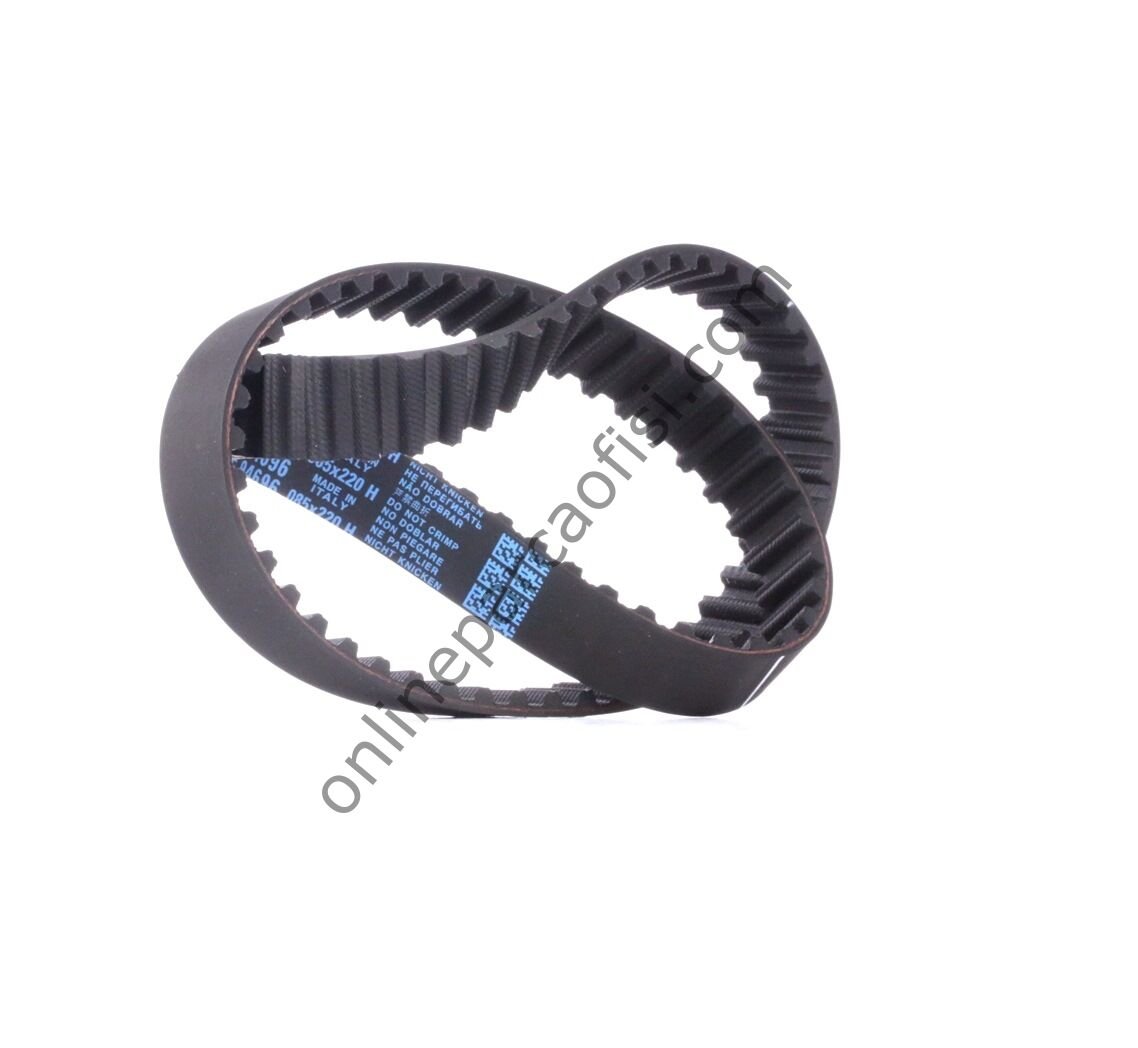 DAYCO 085RHDN220H | FORD FOCUS/MONDEO TRIGER KAYISI