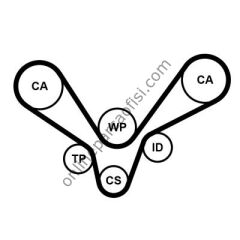 CONTITECH CT 1015 | VW PASSAT-A4-A6 TRIGER KAYISI